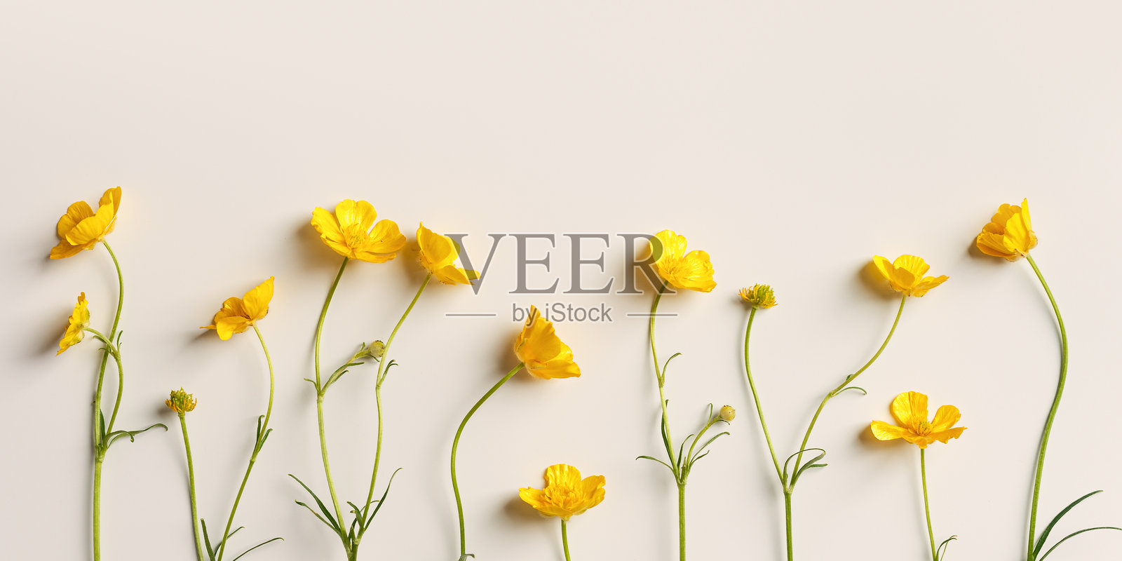 莲花春风百货